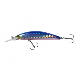 Timon  Tricoroll  GT  72MD-F   Flash Blue Back